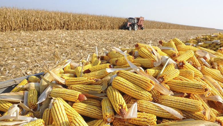 CORN